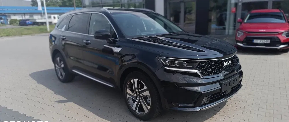 Kia Sorento cena 237400 przebieg: 11, rok produkcji 2023 z Piła małe 46